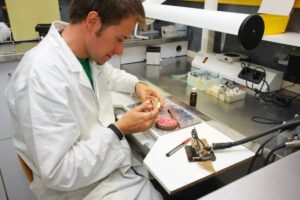 A dentist working at a laboratory bench.